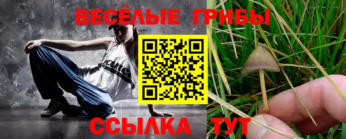 Галлюциногенные грибы Psilocybe  Галлюциногенные грибы Magic Shrooms  Вход с VPN  Нефтеюганск 