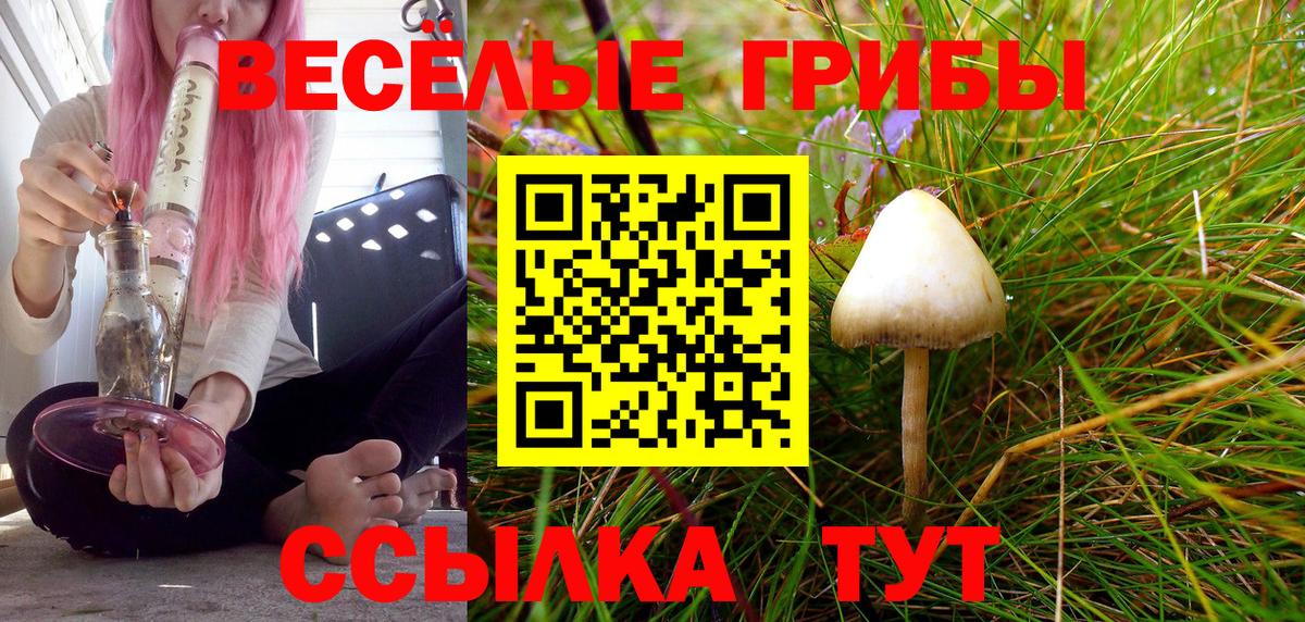 Псилоцибиновые грибы Psilocybine cubensis Нефтеюганск